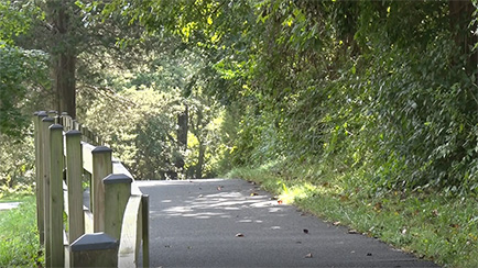 Investigative Reports: Ballot Harvesting